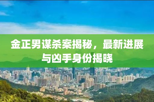 金正男謀殺案揭秘，最新進(jìn)展與兇手身份揭曉