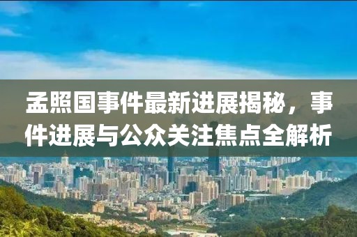 孟照國事件最新進(jìn)展揭秘，事件進(jìn)展與公眾關(guān)注焦點全解析