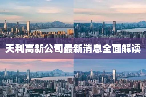 天利高新公司最新消息全面解讀