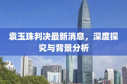 袁玉珠判決最新消息，深度探究與背景分析