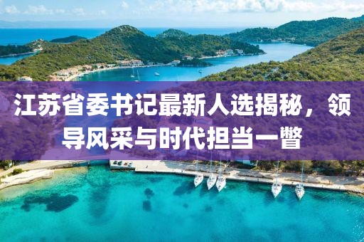 江蘇省委書記最新人選揭秘，領導風采與時代擔當一瞥
