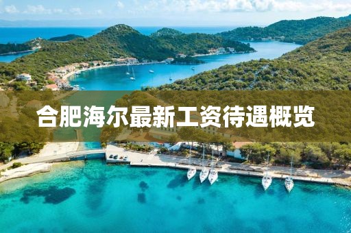 合肥海爾最新工資待遇概覽