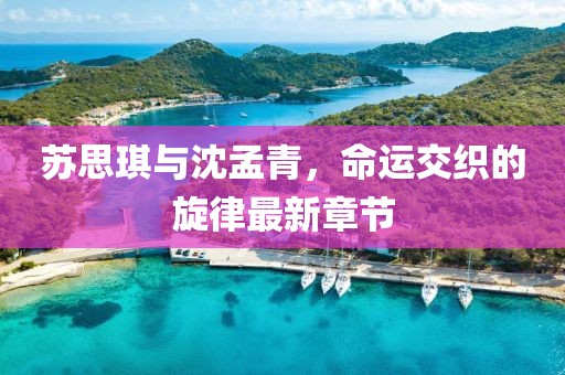 蘇思琪與沈孟青，命運(yùn)交織的旋律最新章節(jié)