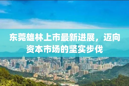 東莞雄林上市最新進(jìn)展，邁向資本市場(chǎng)的堅(jiān)實(shí)步伐