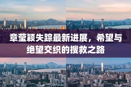 章瑩穎失蹤最新進展，希望與絕望交織的搜救之路