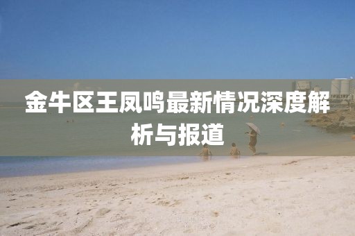 金牛區(qū)王鳳鳴最新情況深度解析與報(bào)道