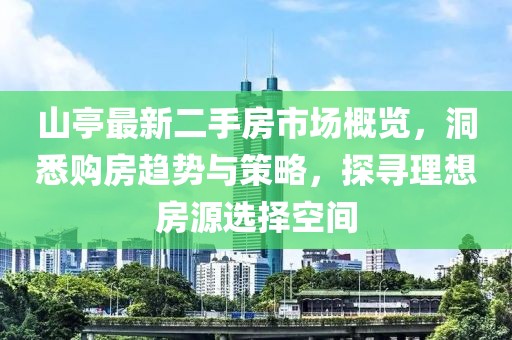 山亭最新二手房市場(chǎng)概覽，洞悉購(gòu)房趨勢(shì)與策略，探尋理想房源選擇空間