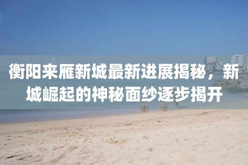 衡陽來雁新城最新進展揭秘，新城崛起的神秘面紗逐步揭開