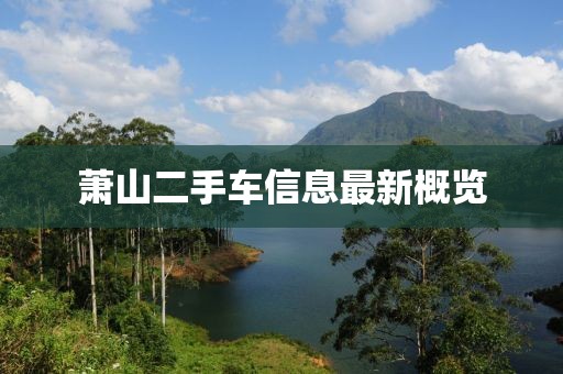 蕭山二手車信息最新概覽