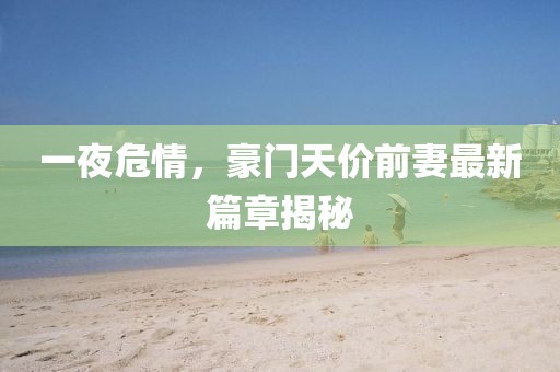 一夜危情，豪門天價前妻最新篇章揭秘