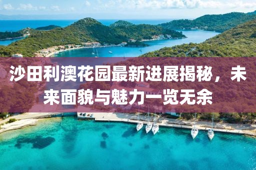 沙田利澳花園最新進展揭秘，未來面貌與魅力一覽無余