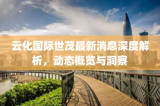 云化國際世茂最新消息深度解析，動態(tài)概覽與洞察
