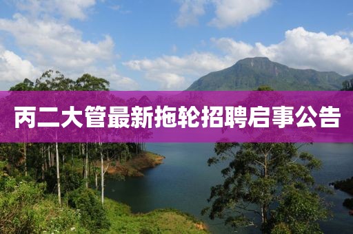 丙二大管最新拖輪招聘啟事公告