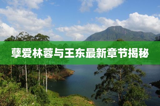 孽愛(ài)林蓉與王東最新章節(jié)揭秘