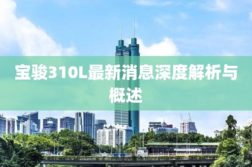寶駿310L最新消息深度解析與概述