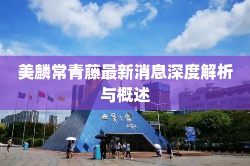 美麟常青藤最新消息深度解析與概述