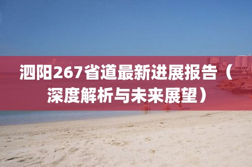 泗陽(yáng)267省道最新進(jìn)展報(bào)告（深度解析與未來(lái)展望）