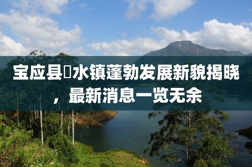 寶應縣氾水鎮(zhèn)蓬勃發(fā)展新貌揭曉，最新消息一覽無余