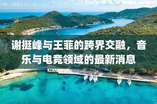 謝挺峰與王菲的跨界交融，音樂與電競領(lǐng)域的最新消息