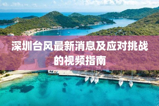 深圳臺風(fēng)最新消息及應(yīng)對挑戰(zhàn)的視頻指南
