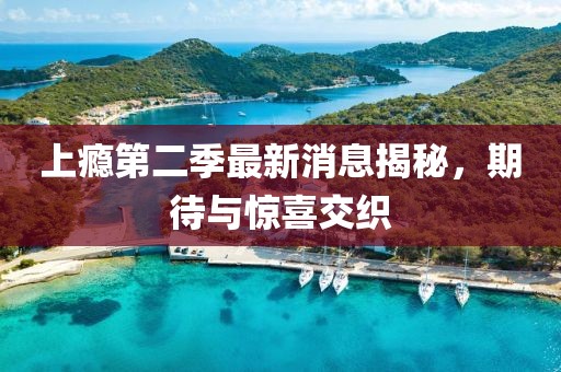 上癮第二季最新消息揭秘，期待與驚喜交織