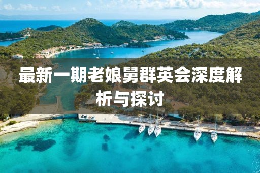 最新一期老娘舅群英會(huì)深度解析與探討