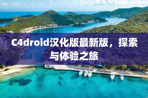 C4droid漢化版最新版，探索與體驗(yàn)之旅