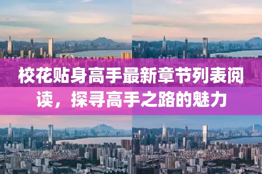 校花貼身高手最新章節(jié)列表閱讀，探尋高手之路的魅力