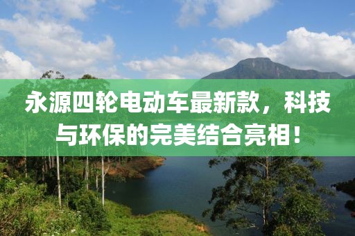 永源四輪電動車最新款，科技與環(huán)保的完美結(jié)合亮相！