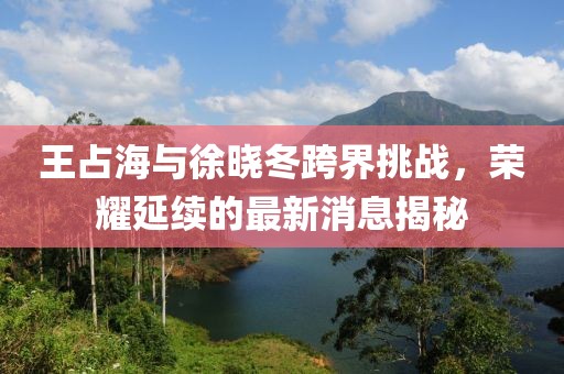 王占海與徐曉冬跨界挑戰(zhàn)，榮耀延續(xù)的最新消息揭秘