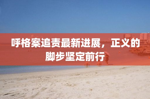 呼格案追責(zé)最新進(jìn)展，正義的腳步堅(jiān)定前行