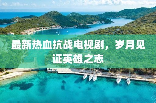 最新熱血抗戰(zhàn)電視劇，歲月見證英雄之志