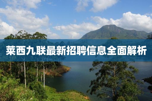 萊西九聯(lián)最新招聘信息全面解析