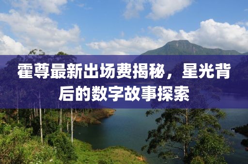 霍尊最新出場費(fèi)揭秘，星光背后的數(shù)字故事探索