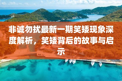 非誠勿擾最新一期笑矮現(xiàn)象深度解析，笑矮背后的故事與啟示