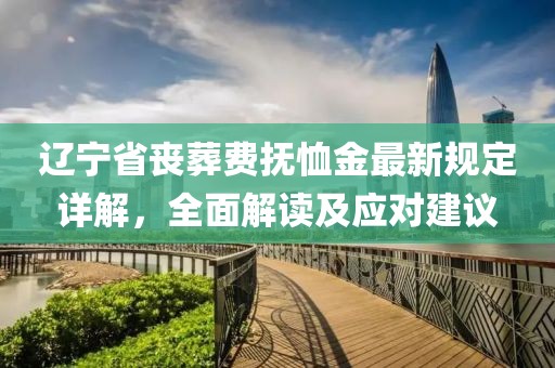 遼寧省喪葬費撫恤金最新規(guī)定詳解，全面解讀及應(yīng)對建議