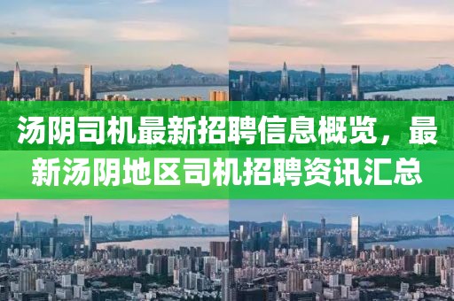 湯陰司機(jī)最新招聘信息概覽，最新湯陰地區(qū)司機(jī)招聘資訊匯總