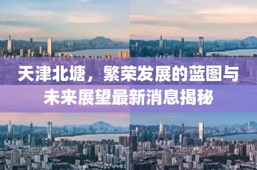 天津北塘，繁榮發(fā)展的藍圖與未來展望最新消息揭秘