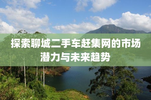 探索聊城二手車趕集網(wǎng)的市場潛力與未來趨勢