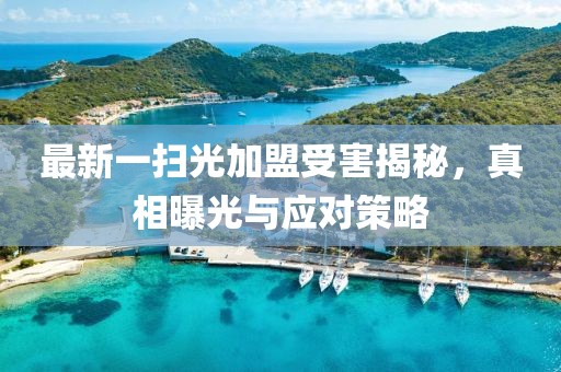 最新一掃光加盟受害揭秘，真相曝光與應(yīng)對策略