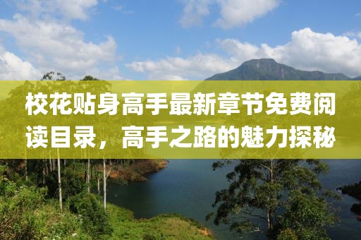 校花貼身高手最新章節(jié)免費(fèi)閱讀目錄，高手之路的魅力探秘