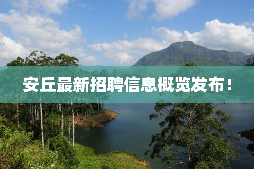 安丘最新招聘信息概覽發(fā)布！