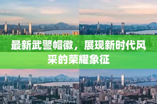 最新武警帽徽，展現(xiàn)新時(shí)代風(fēng)采的榮耀象征