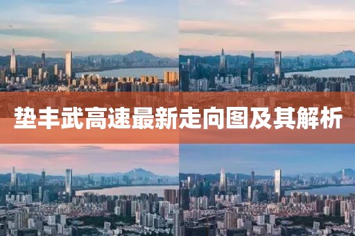墊豐武高速最新走向圖及其解析