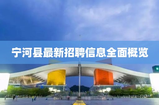 寧河縣最新招聘信息全面概覽