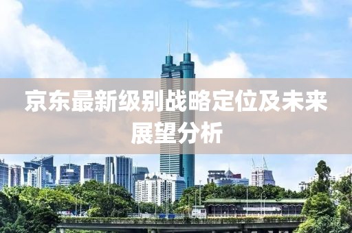 京東最新級(jí)別戰(zhàn)略定位及未來(lái)展望分析