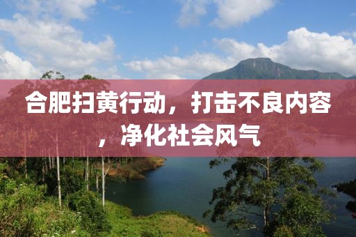 合肥掃黃行動(dòng)，打擊不良內(nèi)容，凈化社會(huì)風(fēng)氣