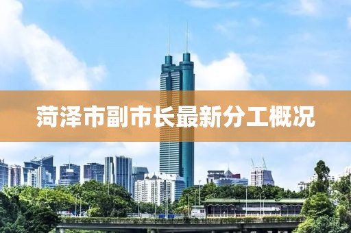 菏澤市副市長(zhǎng)最新分工概況