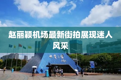 趙麗穎機場最新街拍展現(xiàn)迷人風采