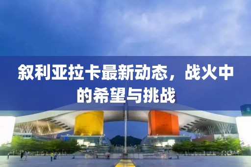 敘利亞拉卡最新動態(tài)，戰(zhàn)火中的希望與挑戰(zhàn)